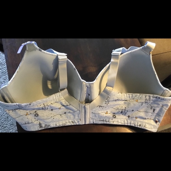 Ambrielle Winter Wonderland Bra Woman's~44DD - Picture 4 of 5